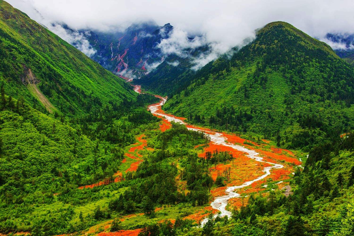 探寻四川,天府之国的魅力与传奇揭秘