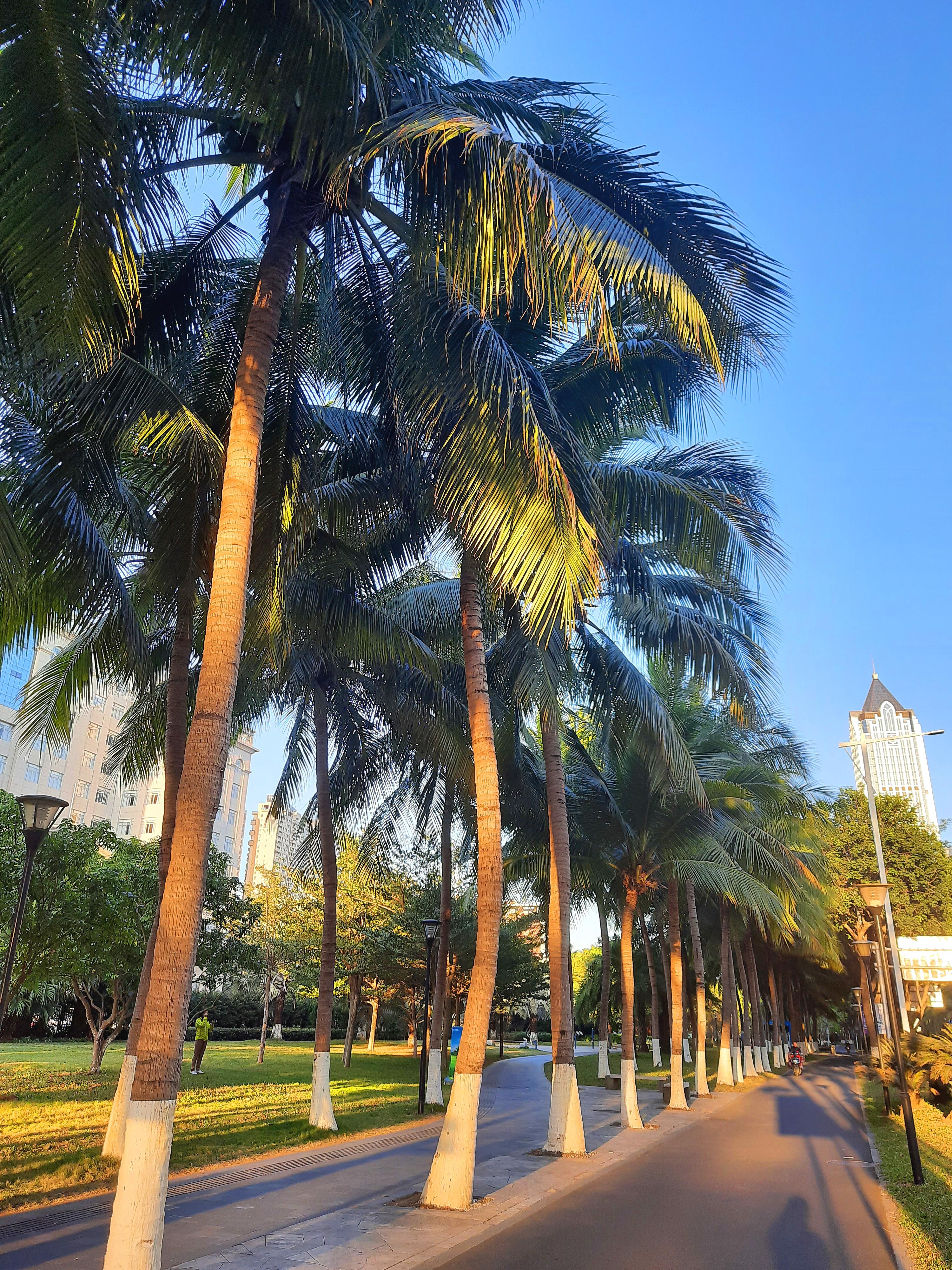 椰风海韵里的海南小确幸,诗意生活的邂逅之旅🌴🌊