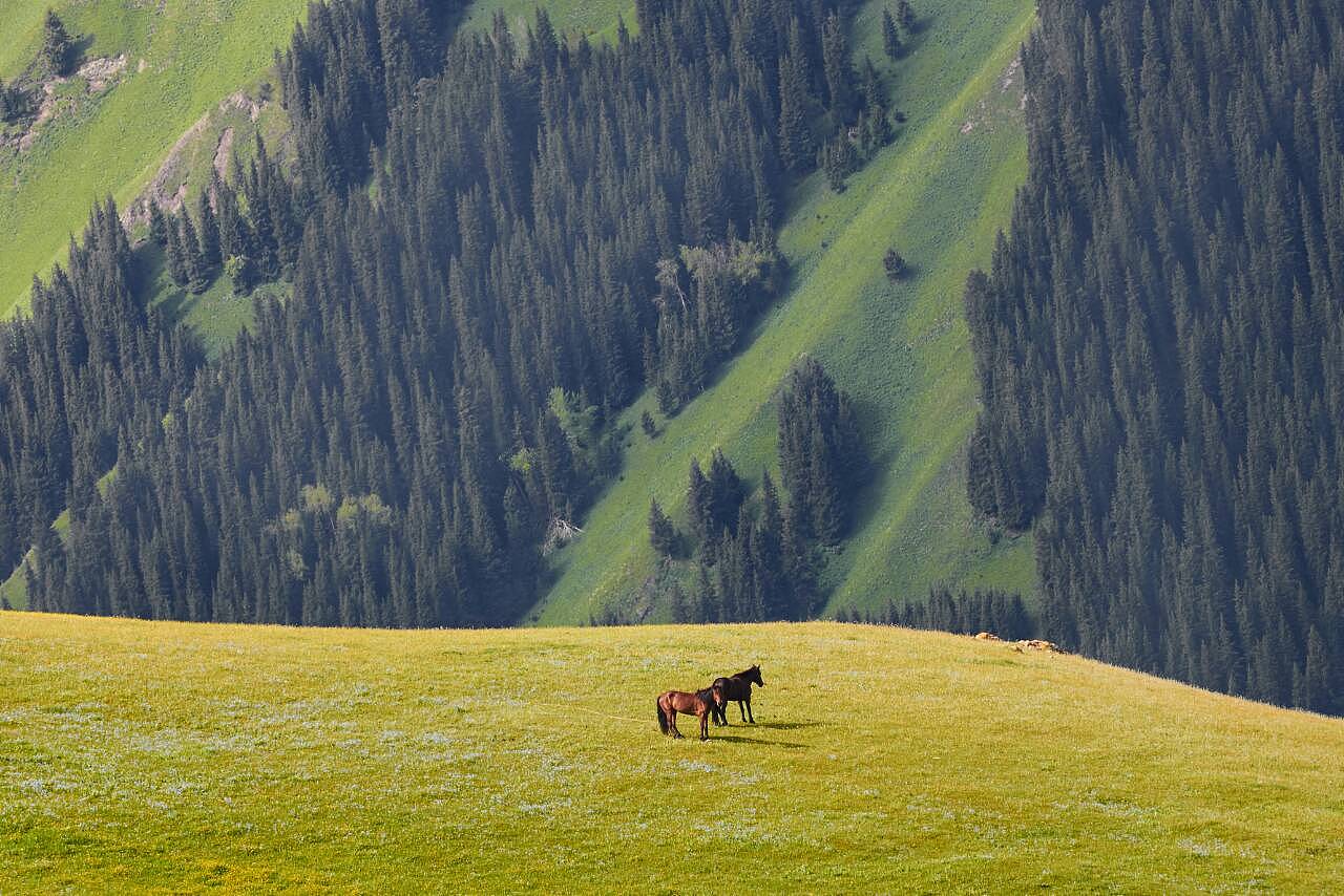 新疆，神秘美丽的土地，令人心驰神往的火焰之地