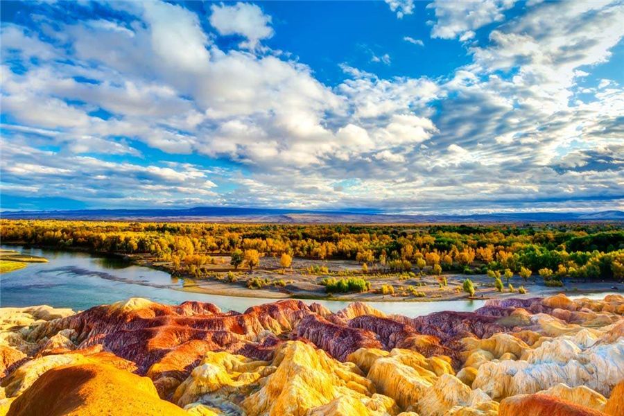 新疆大草原,辽阔疆域的自然画卷