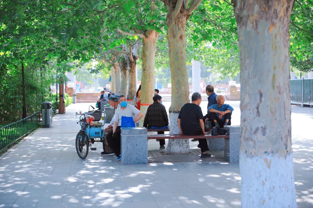 廊坊初学者必看攻略,轻松上手指南